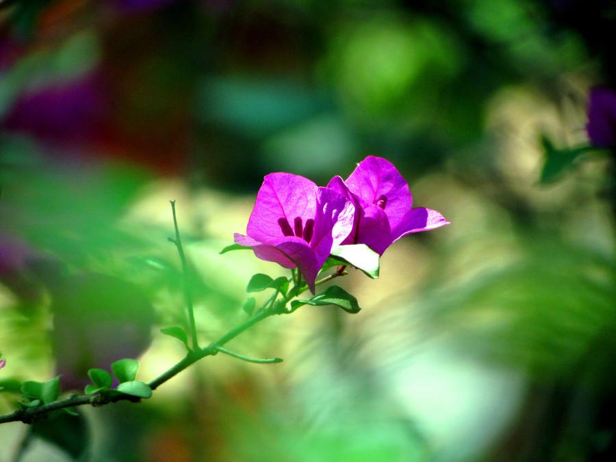 卧式自锁铁壳减速机