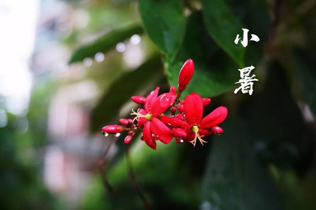 小暑|时光无涯，KA螺旋锥减速机厂家